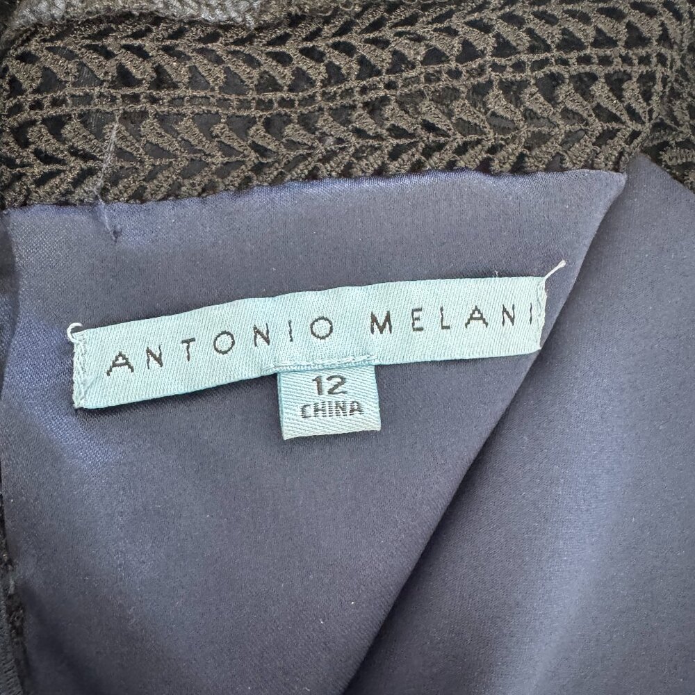 Antonio Melani Liva Black & Blue Lace Embroidered Fit & Flare Dress - Size 12 - Picture 5 of 16